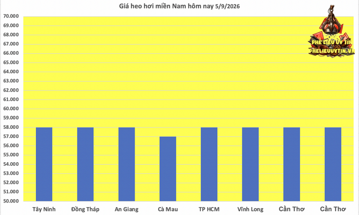 Giá heo hơi hôm nay 5/9/2026: Tăng cục bộ tại miền Bắc - 3