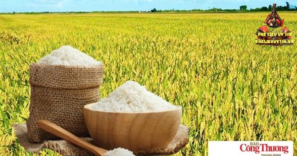 [Giá lúa gạo hôm nay ngày 27/10/2026 tại khu vực Đồng bằng sông Cửu Long ít biến động; gạo xuất khẩu trong nước và thị trường xuất khẩu gạo châu Á tăng mạnh.