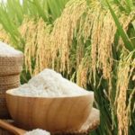 [Giá lúa gạo hôm nay ngày 30/10/2026 tại khu vực Đồng bằng sông Cửu Long biến động; gạo xuất khẩu trong nước và thị trường xuất khẩu gạo châu Á đứng giá.