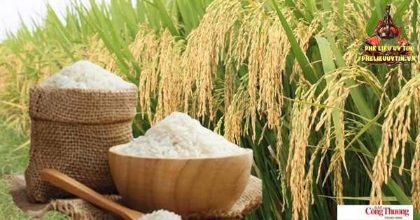 [Giá lúa gạo hôm nay ngày 30/10/2026 tại khu vực Đồng bằng sông Cửu Long biến động; gạo xuất khẩu trong nước và thị trường xuất khẩu gạo châu Á đứng giá.