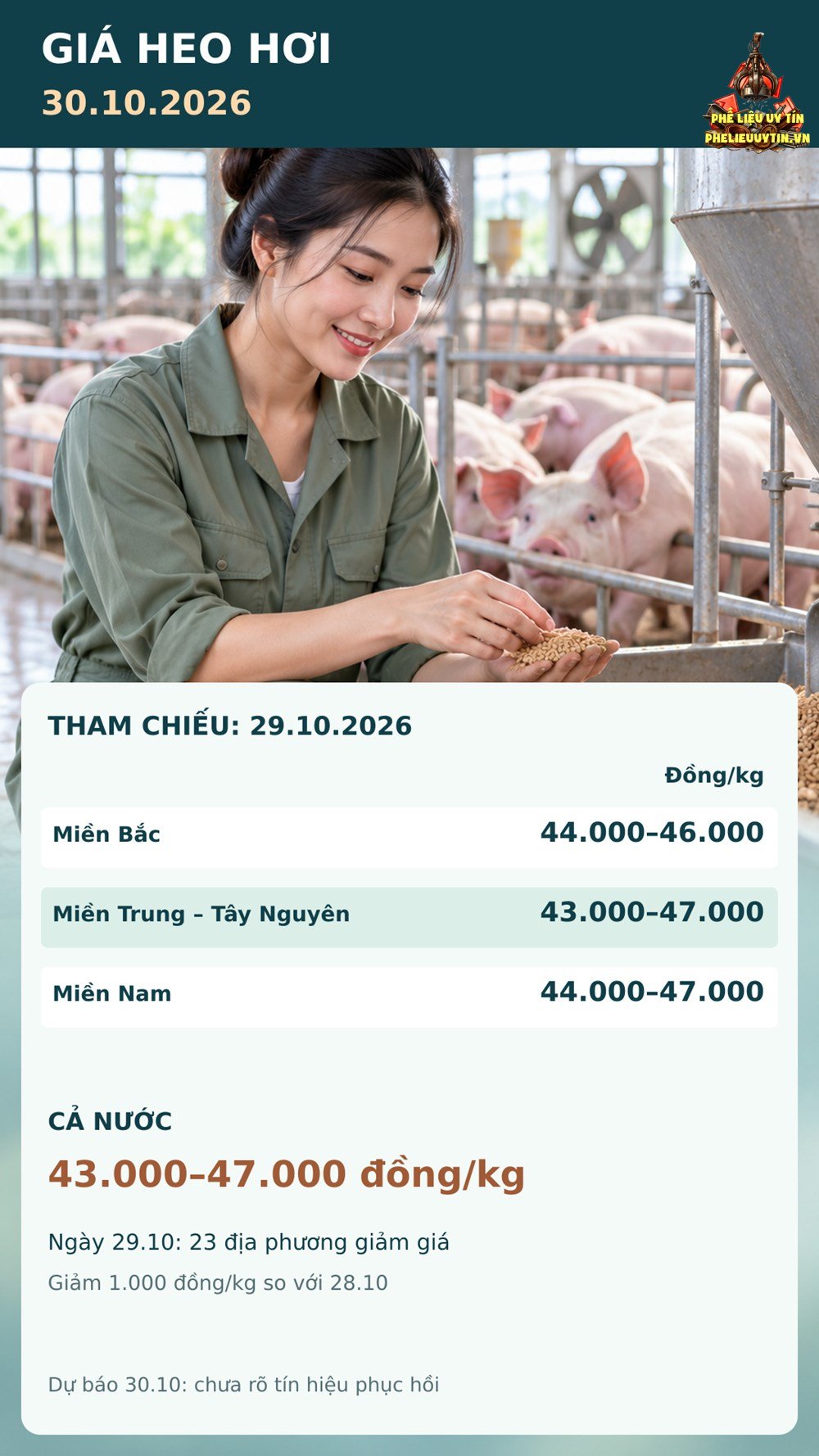 Giá heo hơi hôm nay 30.10.2026: Áp lực giảm lan rộng trên ba miền - ảnh 3